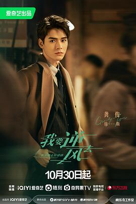 柳州谷歌seo优化方案